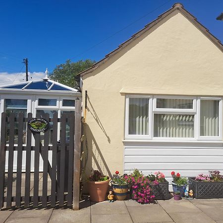 Little Orchard Apartment Pont Yates 외부 사진