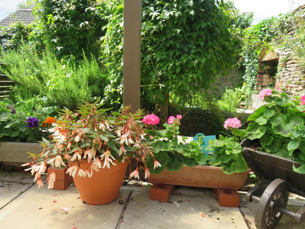 Little Orchard Apartment Pont Yates 외부 사진
