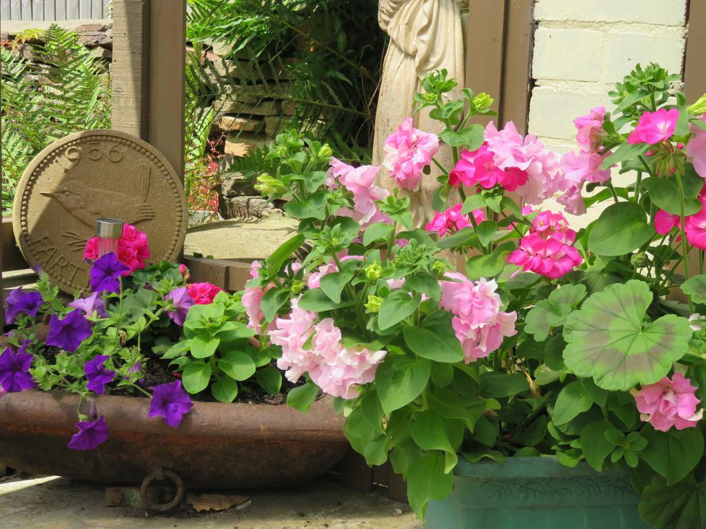 Little Orchard Apartment Pont Yates 외부 사진