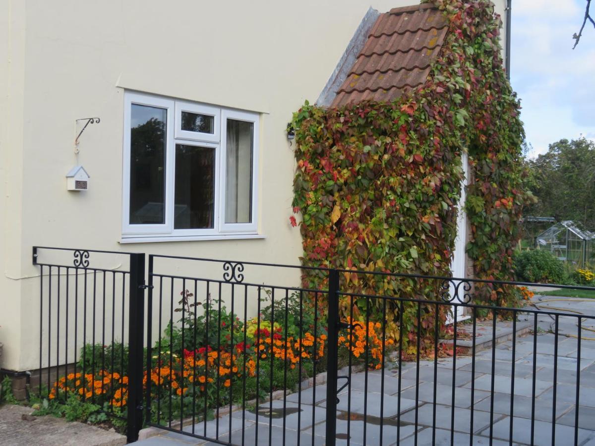 Little Orchard Apartment Pont Yates 외부 사진